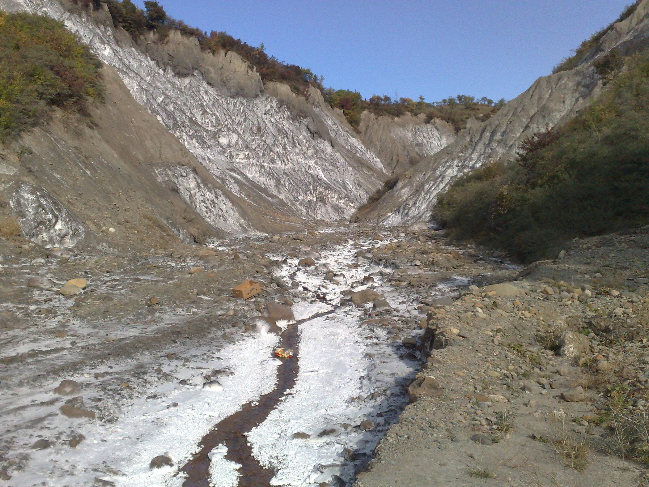 hydrology Are there any saltwater rivers on Earth? Earth Science