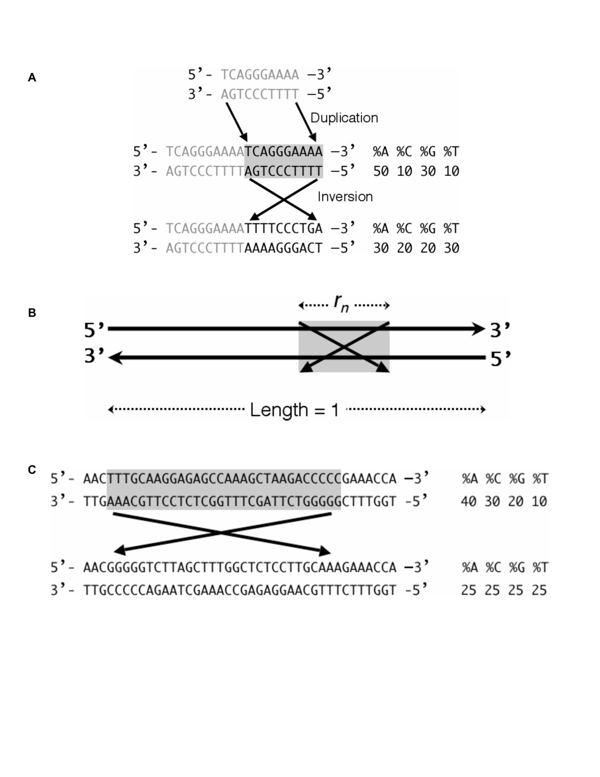 molecular How to read this DNA inversion diagram? Biology
