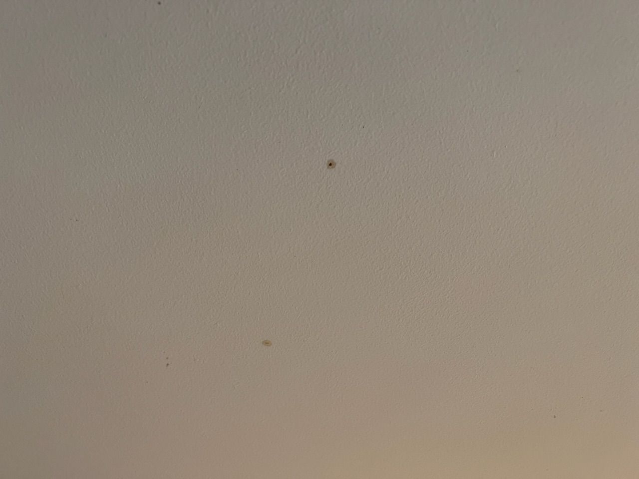 bathroom Are these ceiling spots in the kitchen coming from above or below? Home Improvement