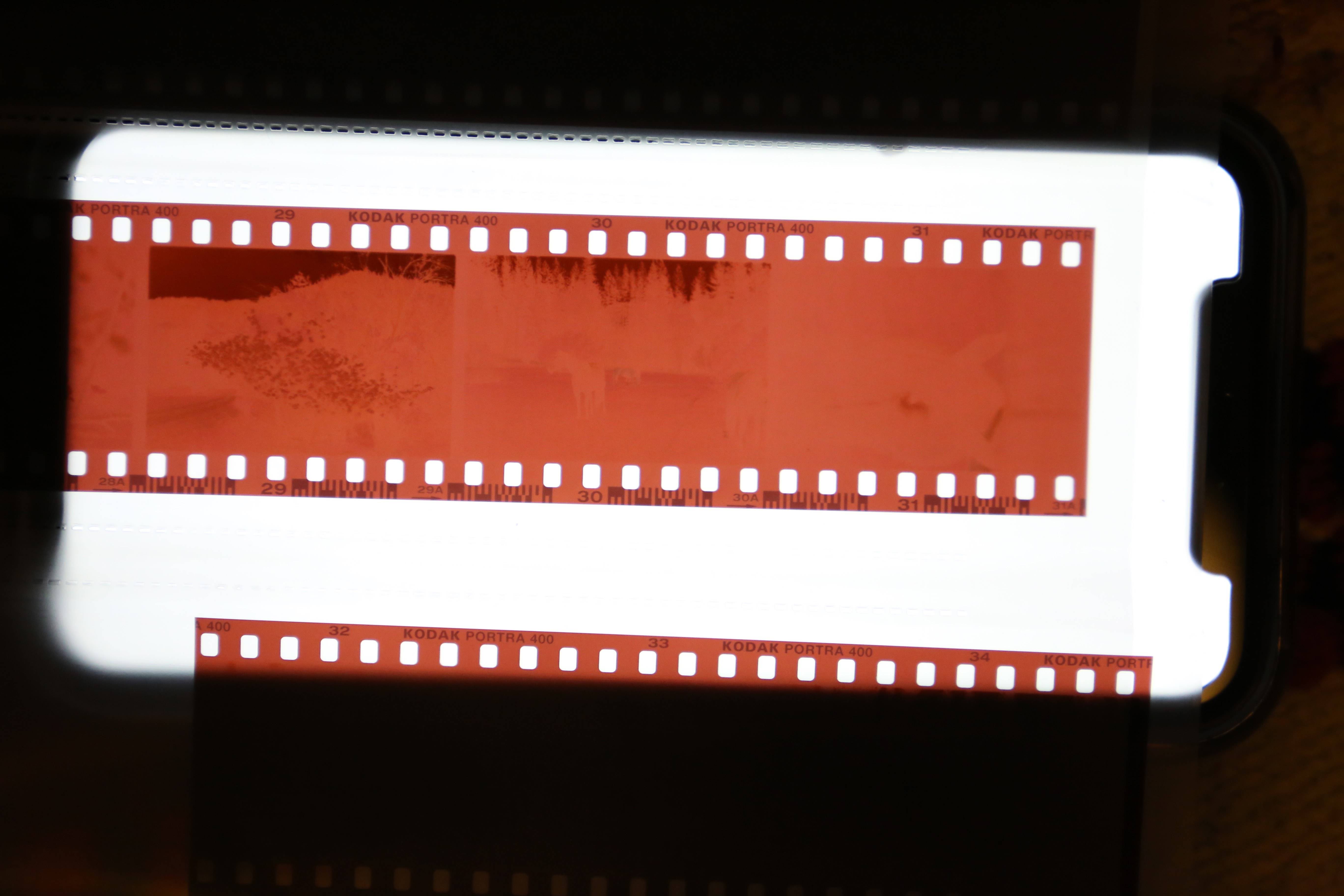 exposure Poorly scanned or poorly shot film roll? Photography Stack Exchange