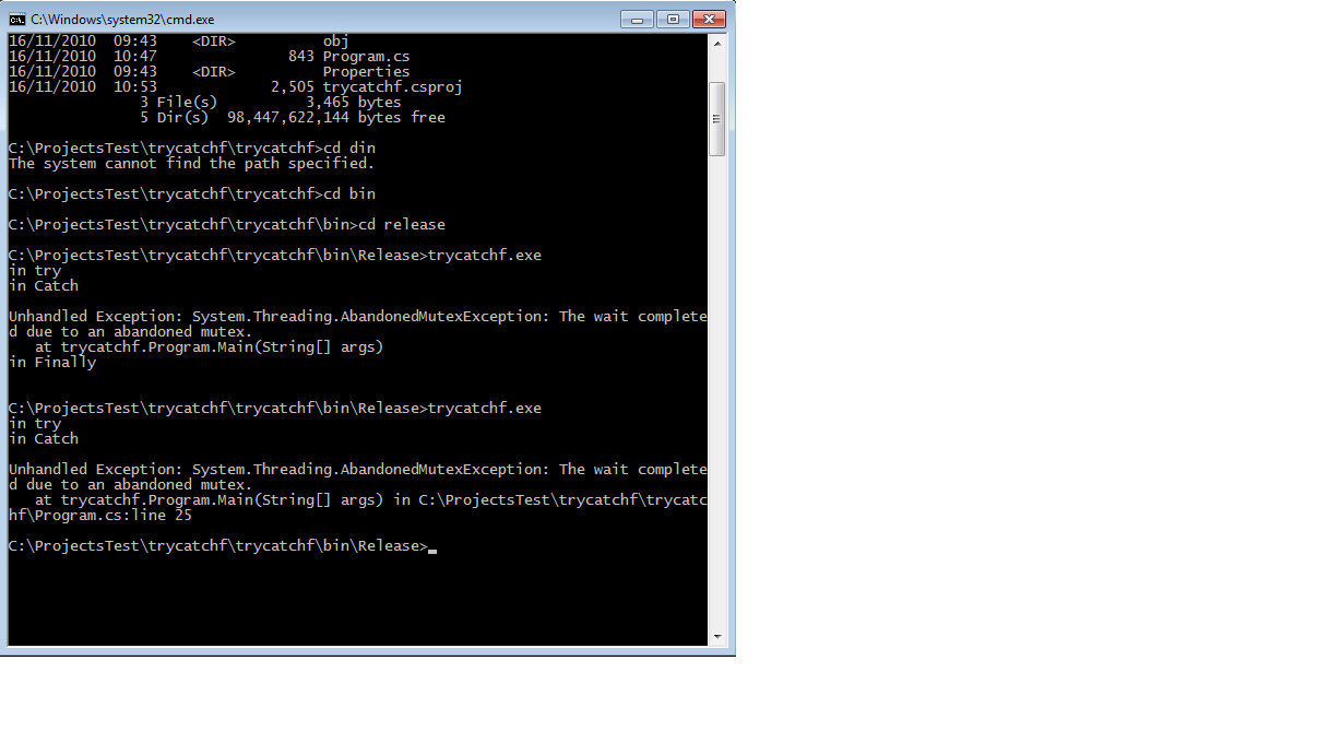 c Finally Block Not Running? Stack Overflow