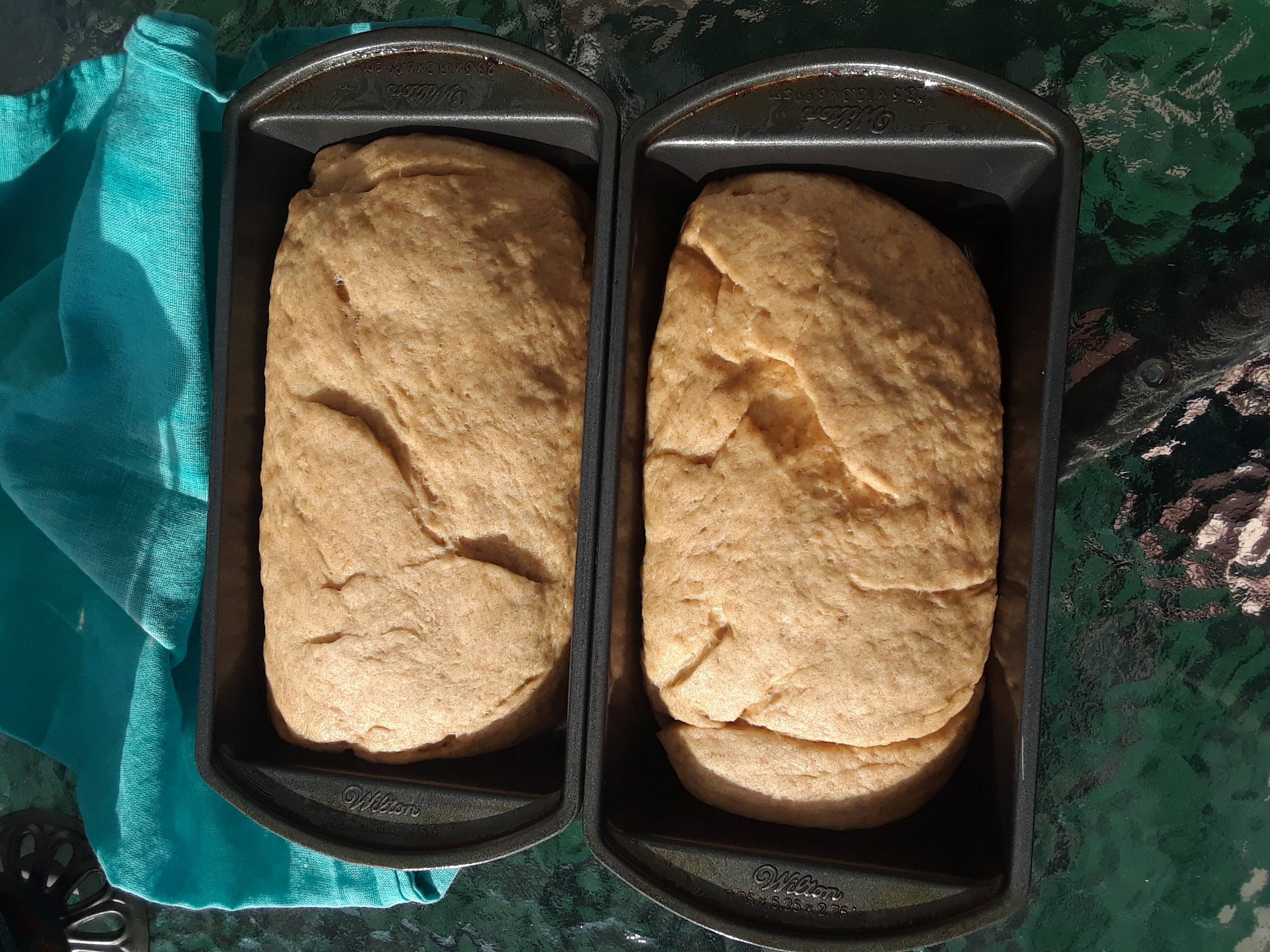 Does room temperature affect rising time for bread dough? Seasoned Advice