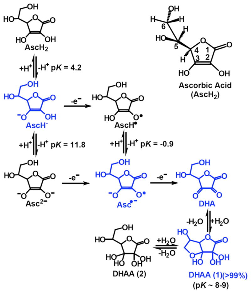 redox Why is ascorbic acid (vitamin c) readily oxidised in the