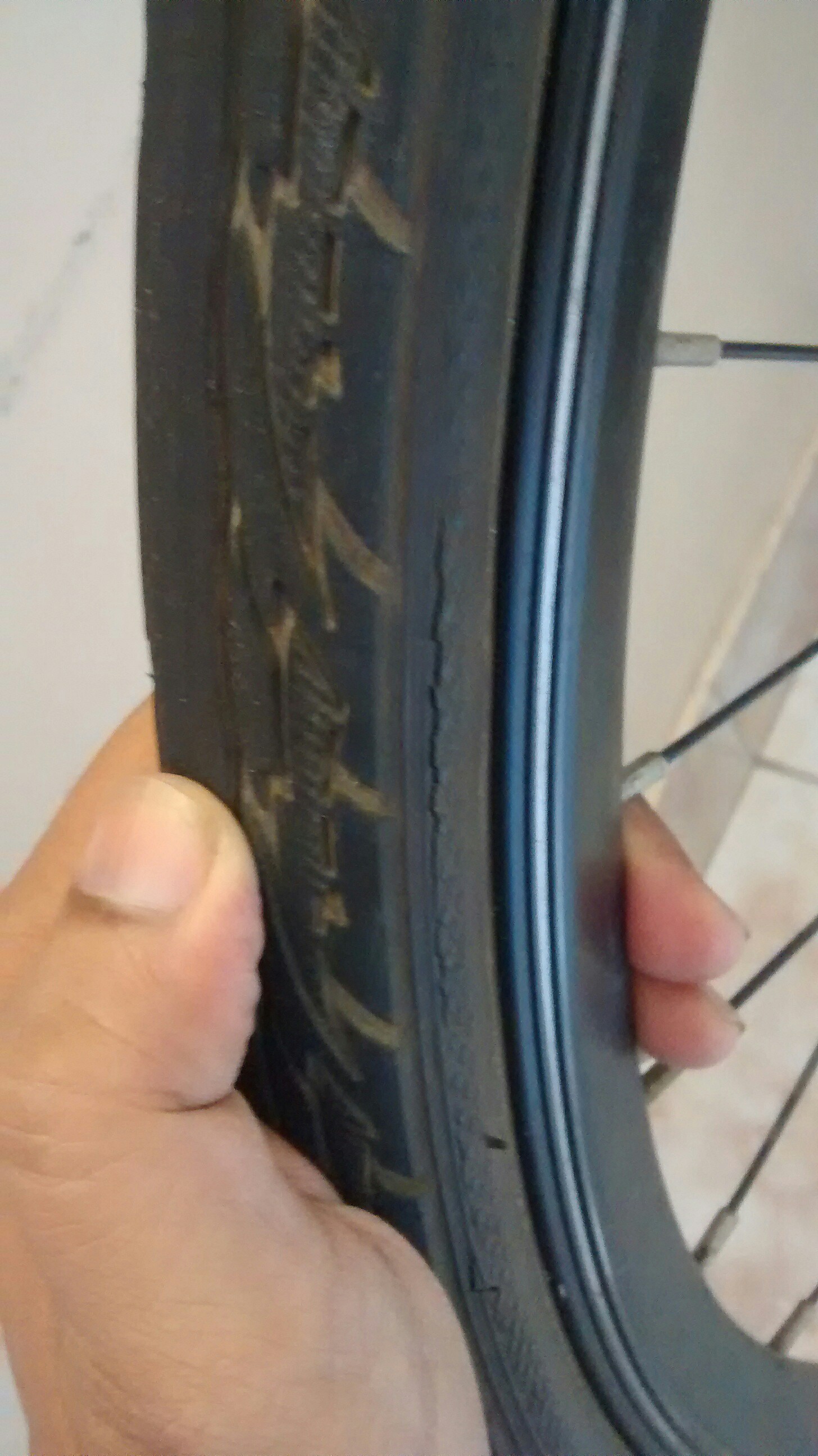 Bicycle Tires Cracking at Joseph blog