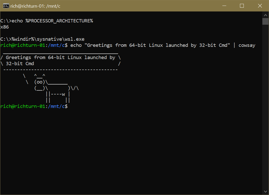 bash Opening a wsl shell from another windows application Super User