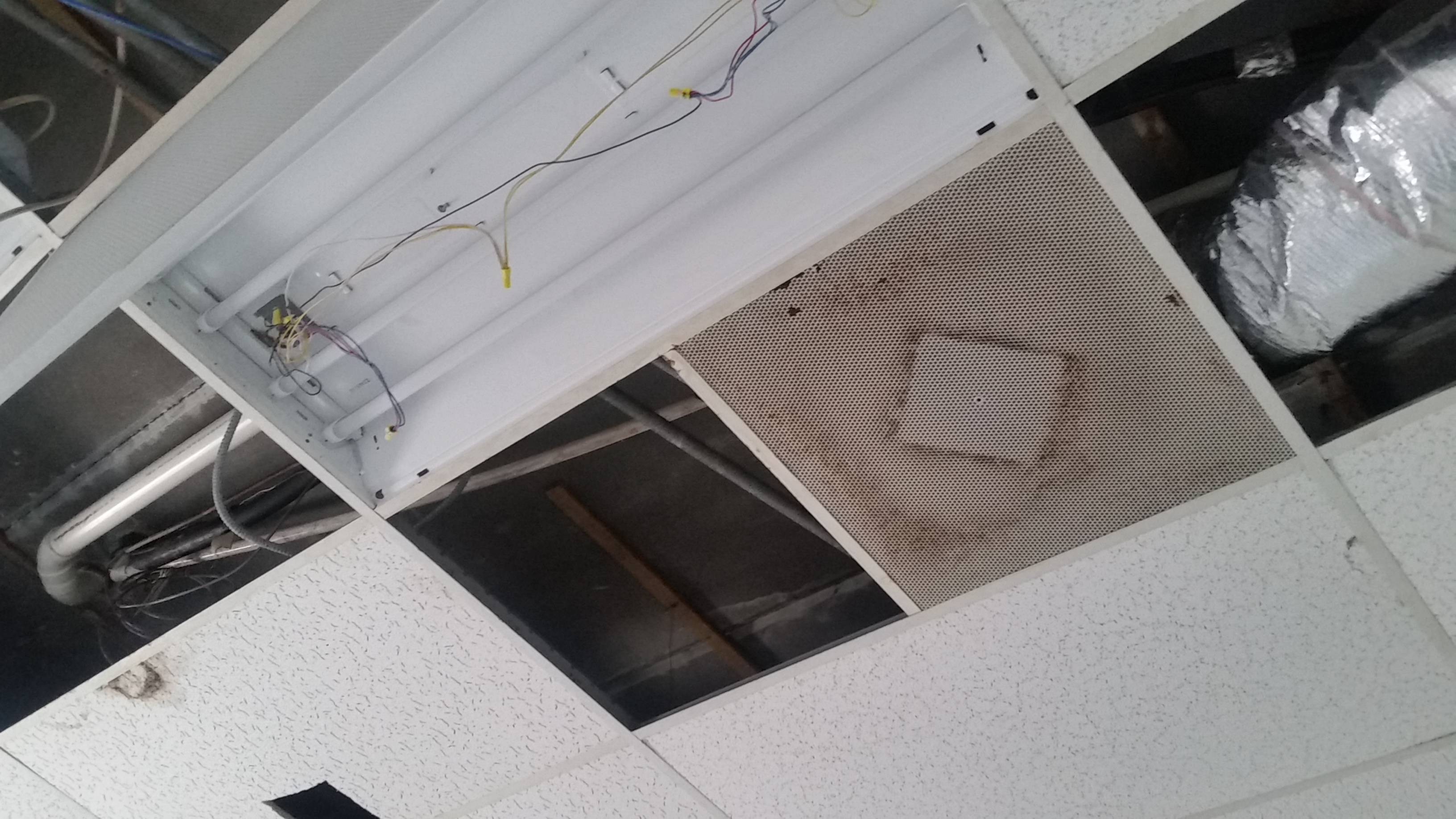 Will pipe insulation stop condensation on an HVAC drain line? Home