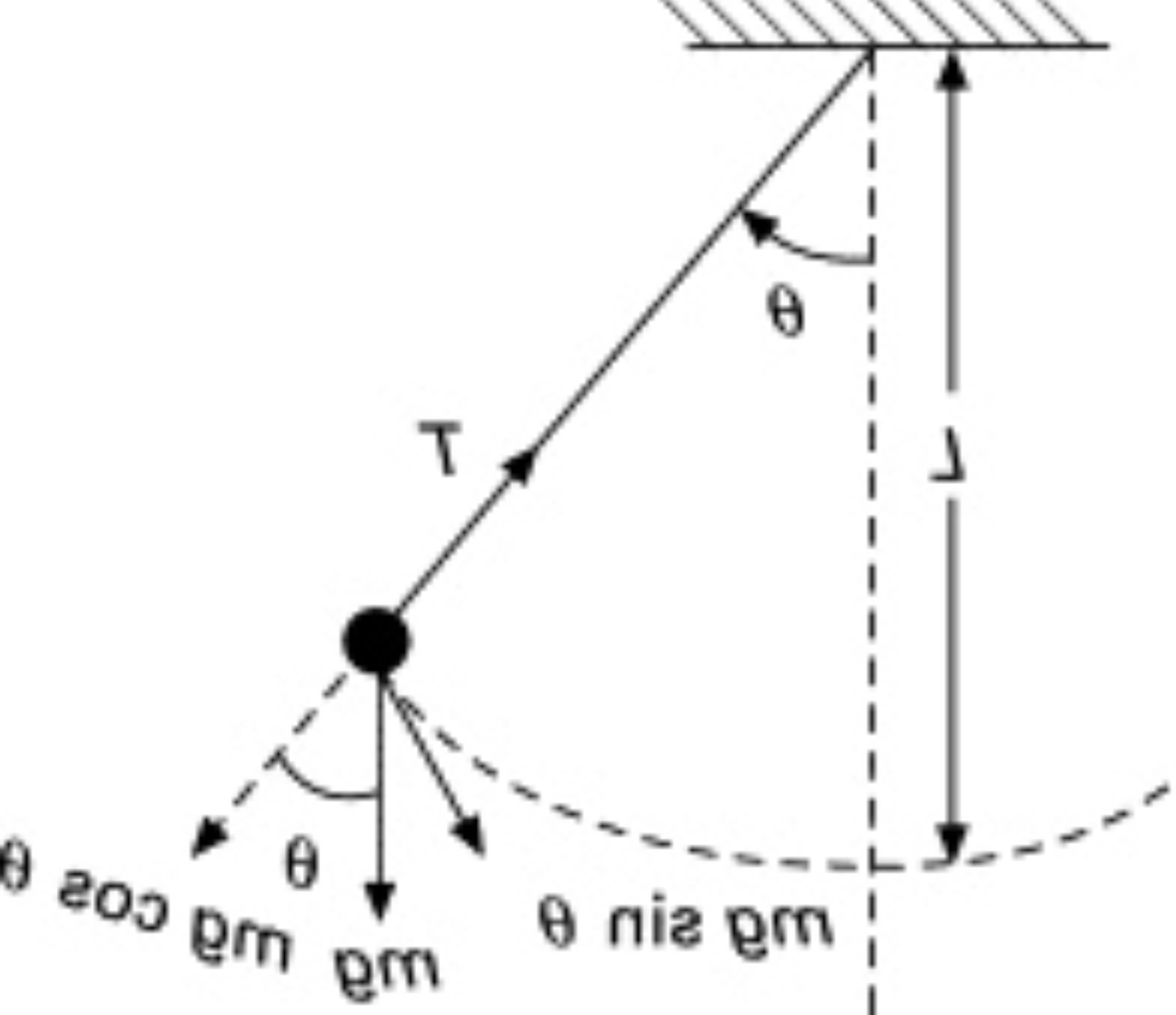 physics Magnitude of torque due to weight in a simple pendulum