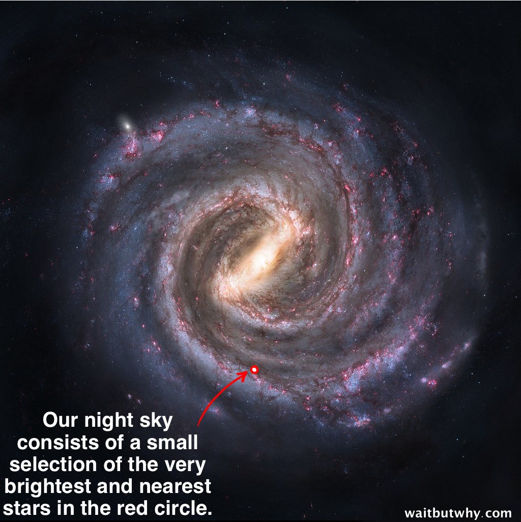 What specific parts of the Milky Way do we see when we