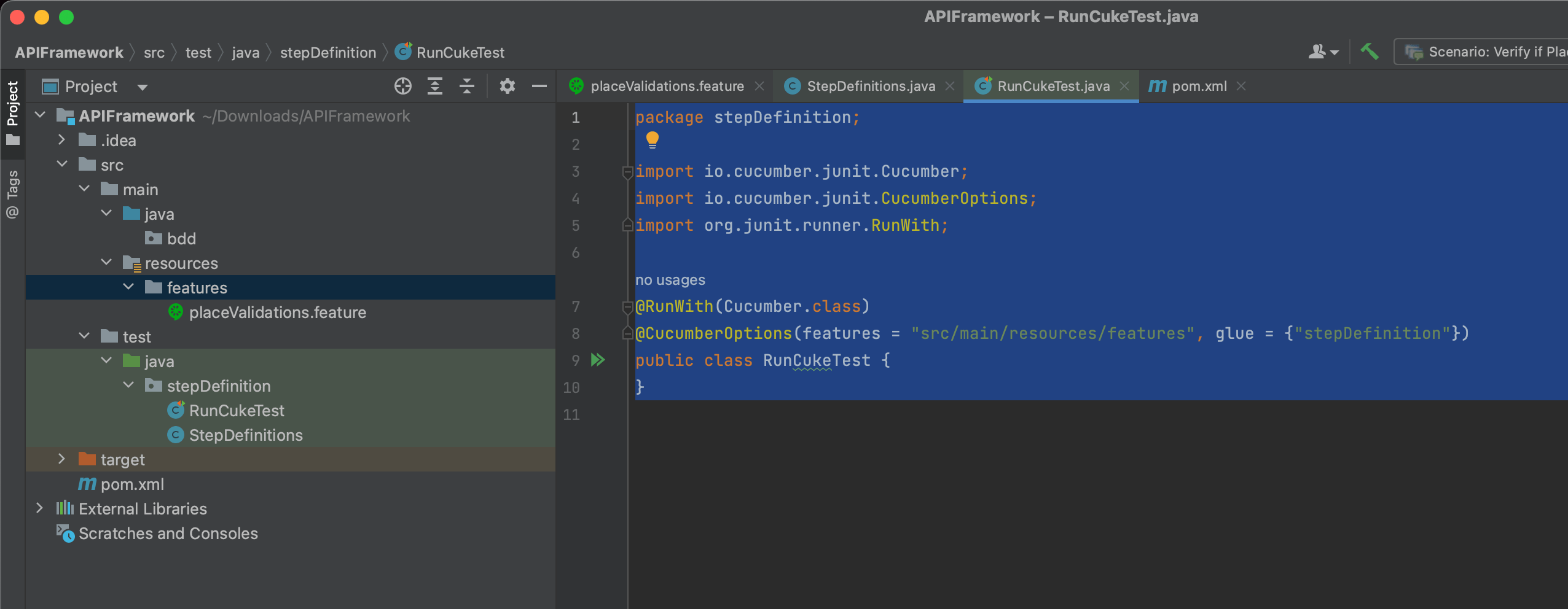 java Unable to run feature when tests runner and step definitions are