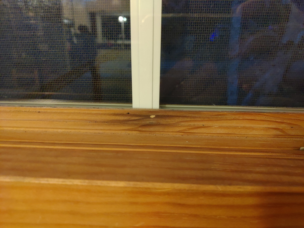 Is this mold on my wood window frame? What should I do about it? Home