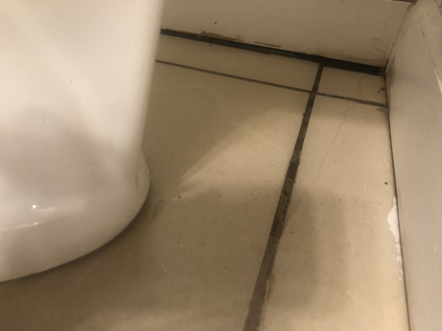 plumbing Why does my toilet leak from bottom after flushing and water