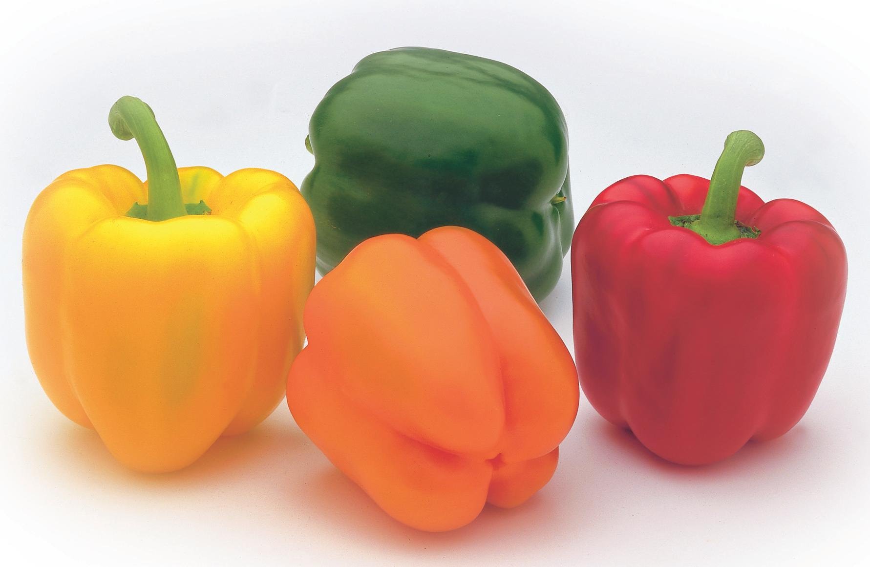 translation Which one do you call "pepper", pimienta o pimiento