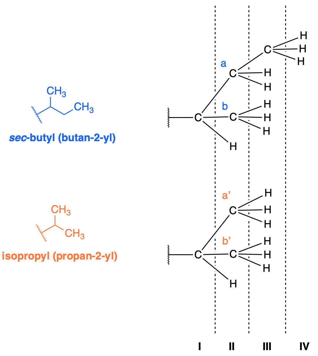 Terminal Vinyl Group