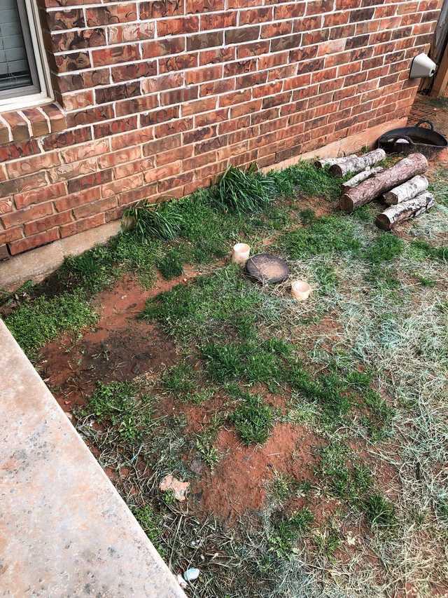 soil Side yard flooded, low spots near patio, nasty bare clay spots