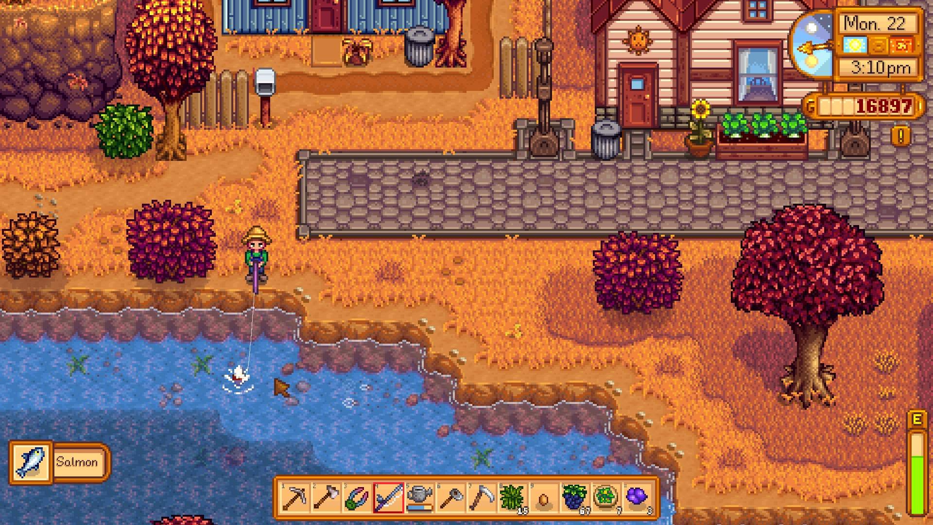 stardew valley What do ripples on the water indicate? Arqade