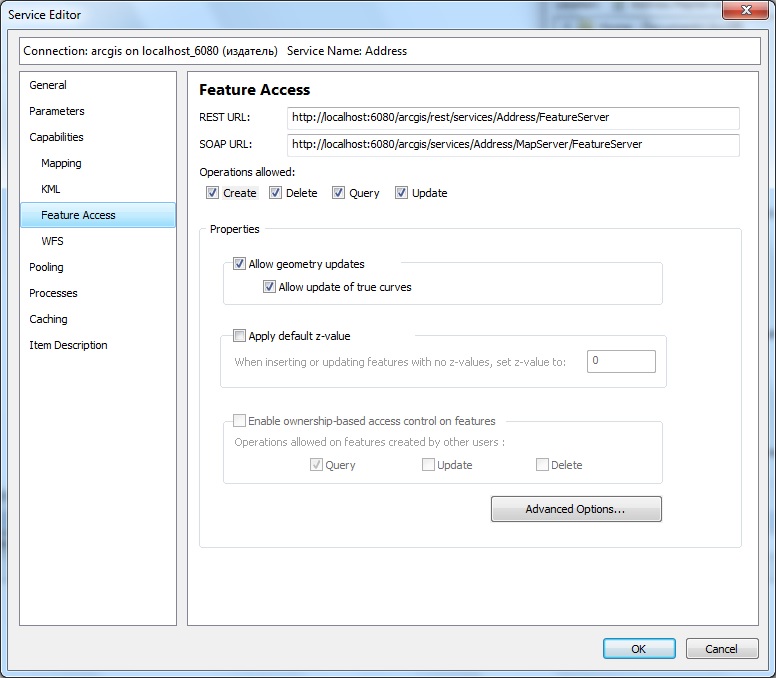arcmap Enable feature access editing in Arcgis Server Geographic