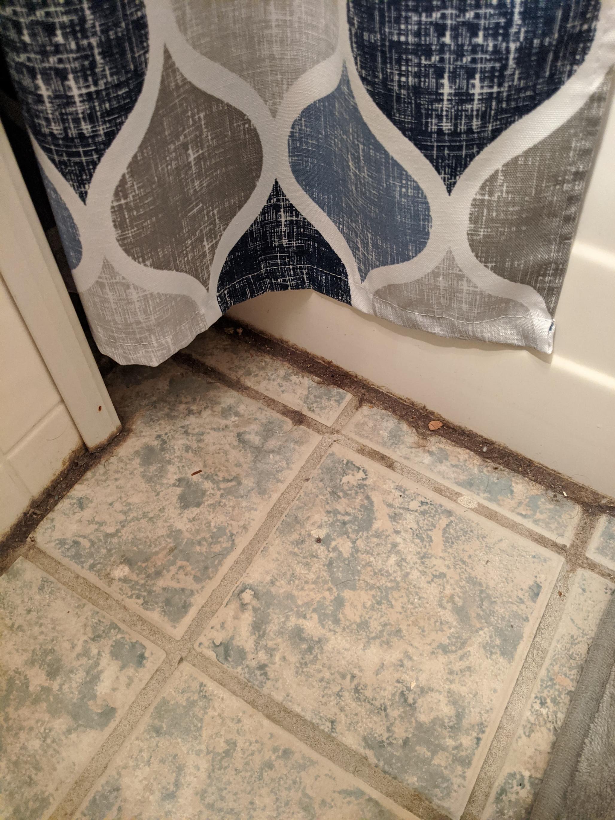 How to remove/prevent mold from forming in bathroom - Home Improvement