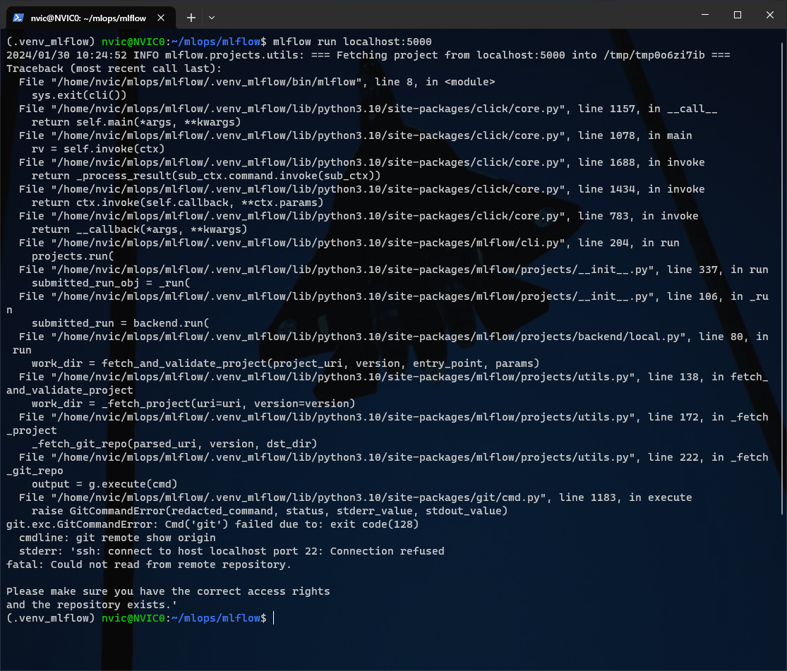 python How to assign MLflow Tracking Server when running project via
