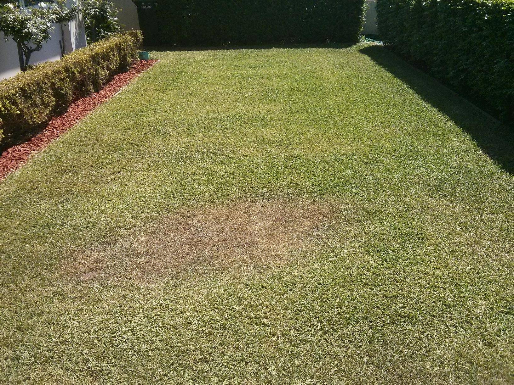 How should I remove a patch of the wrong type of grass from my lawn