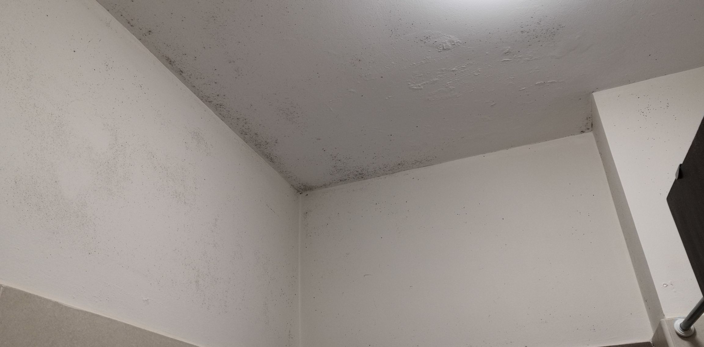 Mold on the walls on the bathroom Home Improvement Stack Exchange