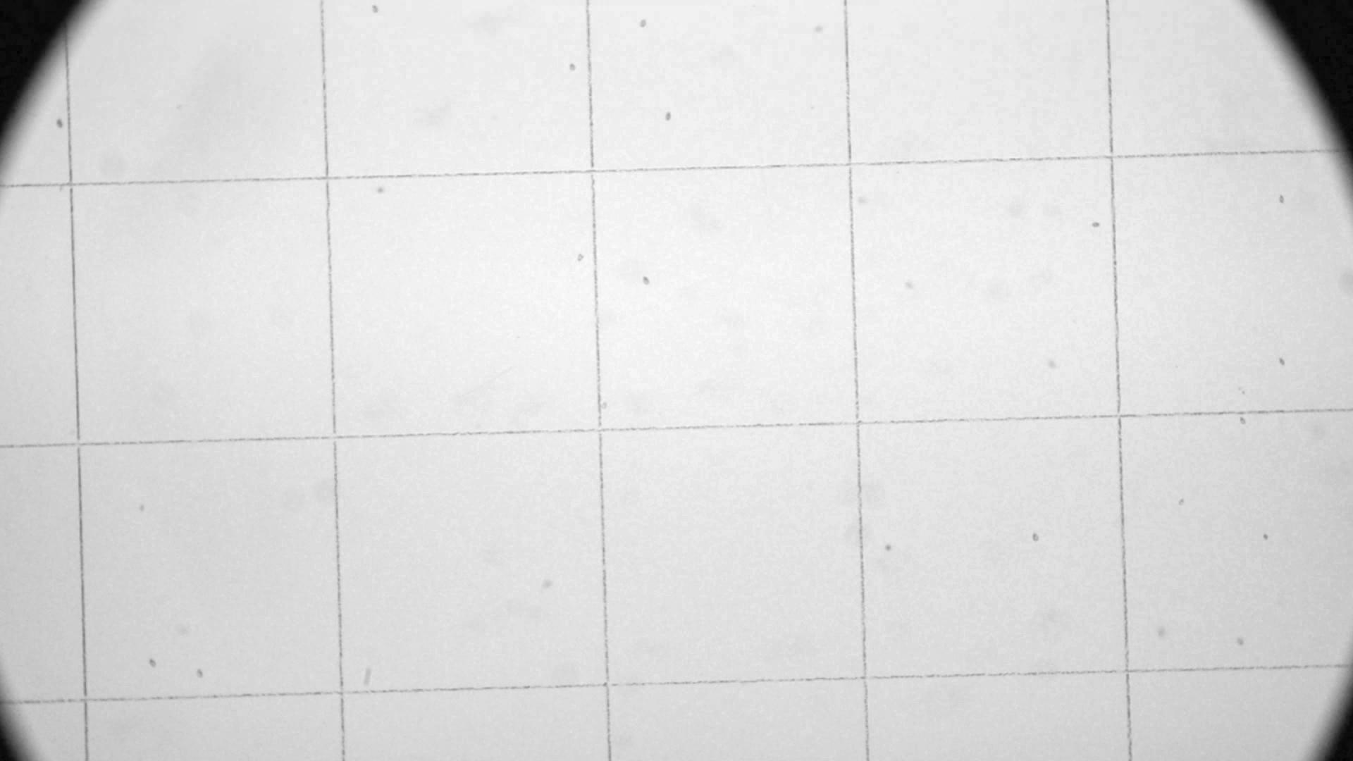 Imagemagick How to remove grid lines and dark regions from an image