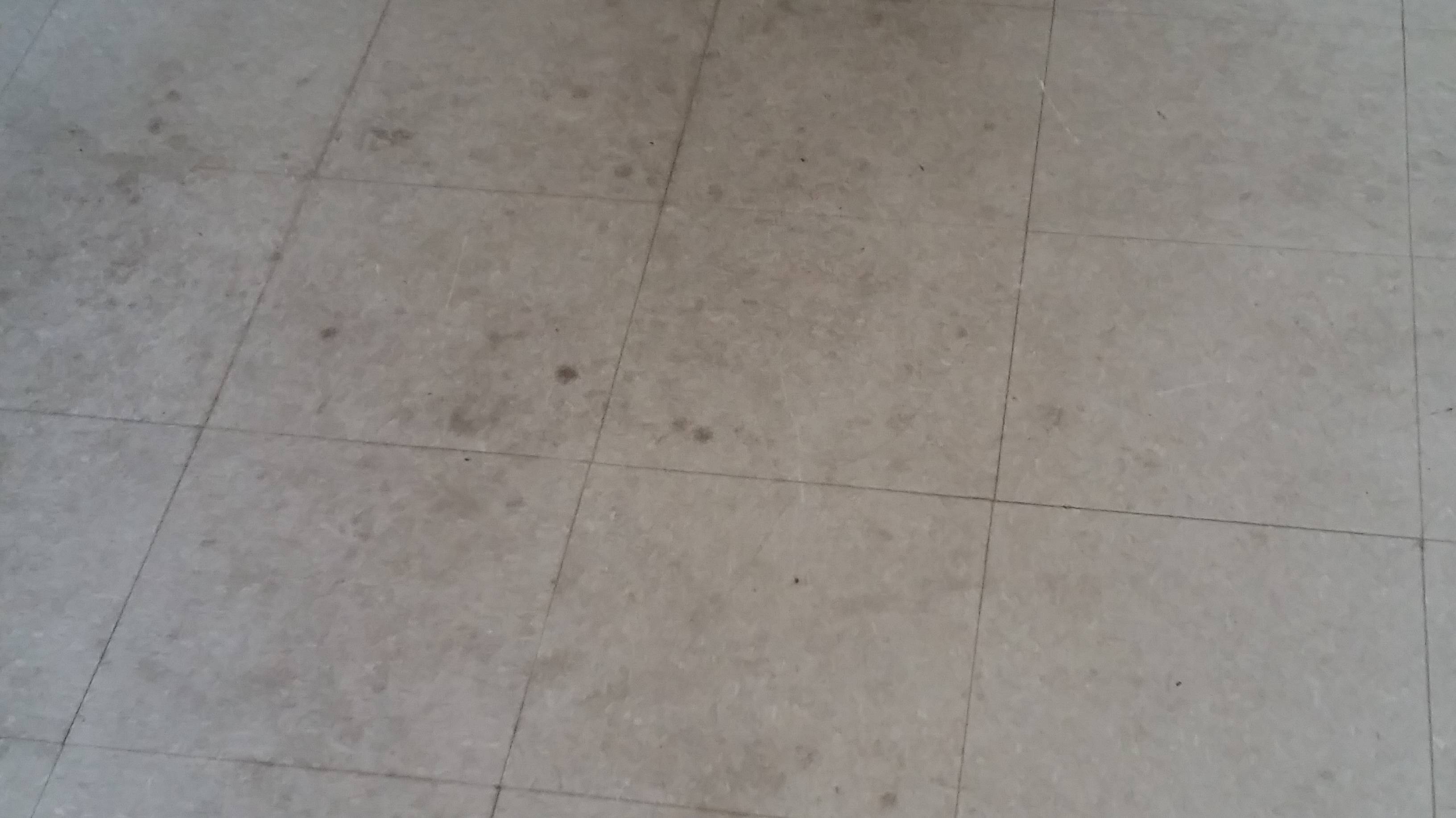 carpet Wall to wall carpeting over tile? Home Improvement Stack