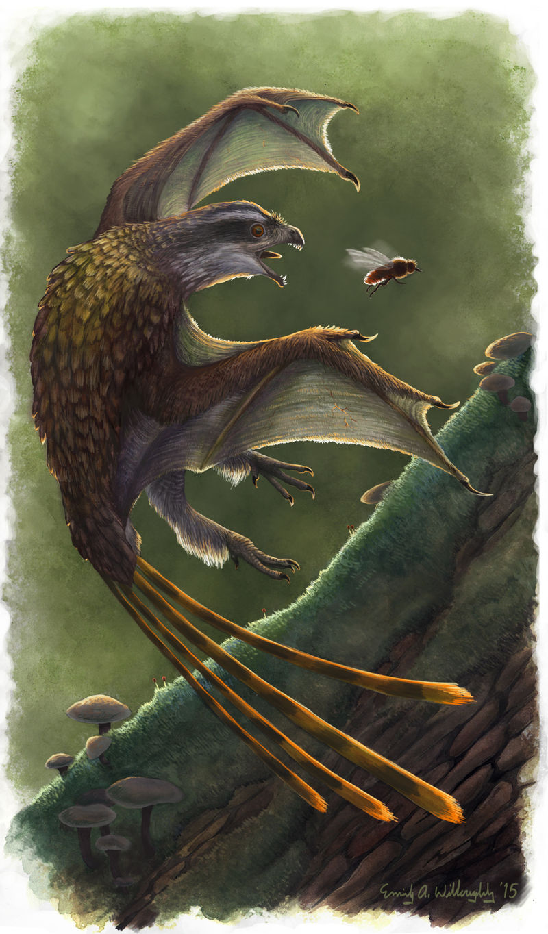 science based How CAN a Wyvern be a Scansoriopterygid Dinosaur