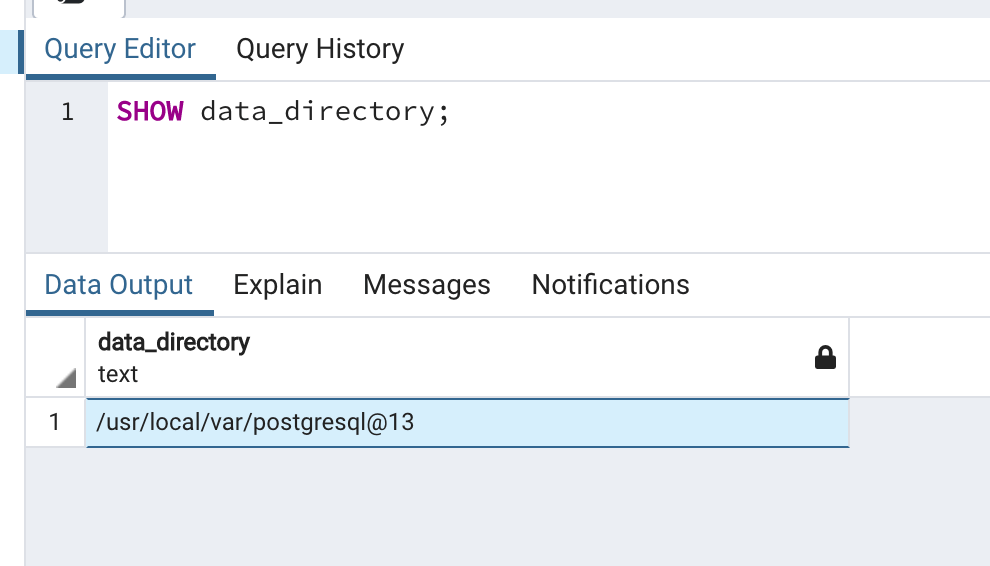 postgresql Getting a Docker postgres container to use hosts database