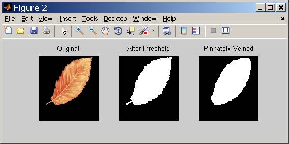 matlab Identify Lobed and bumps of Leaves Stack Overflow