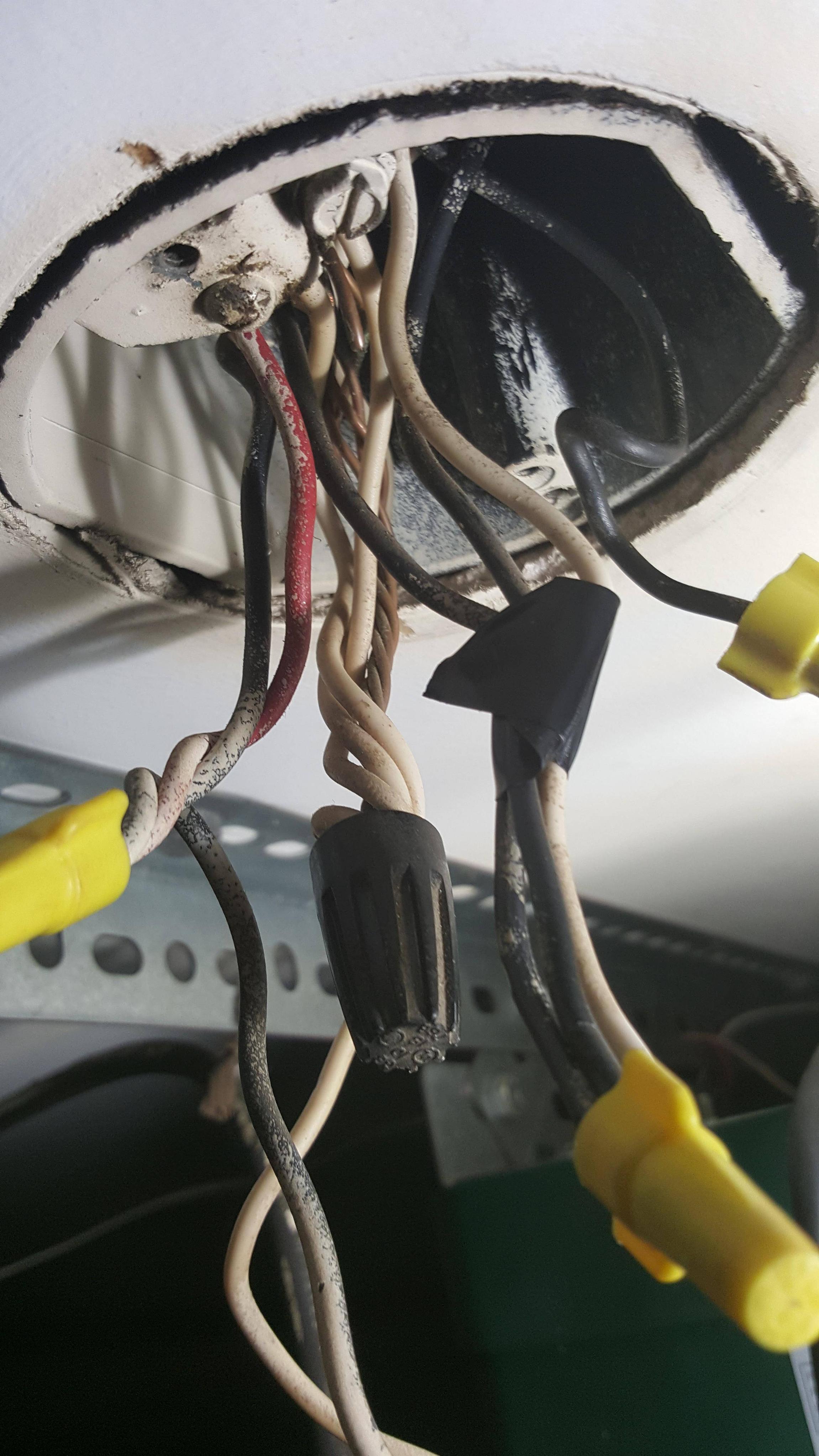 Electrical Should neutral and ground wires tied together in junction