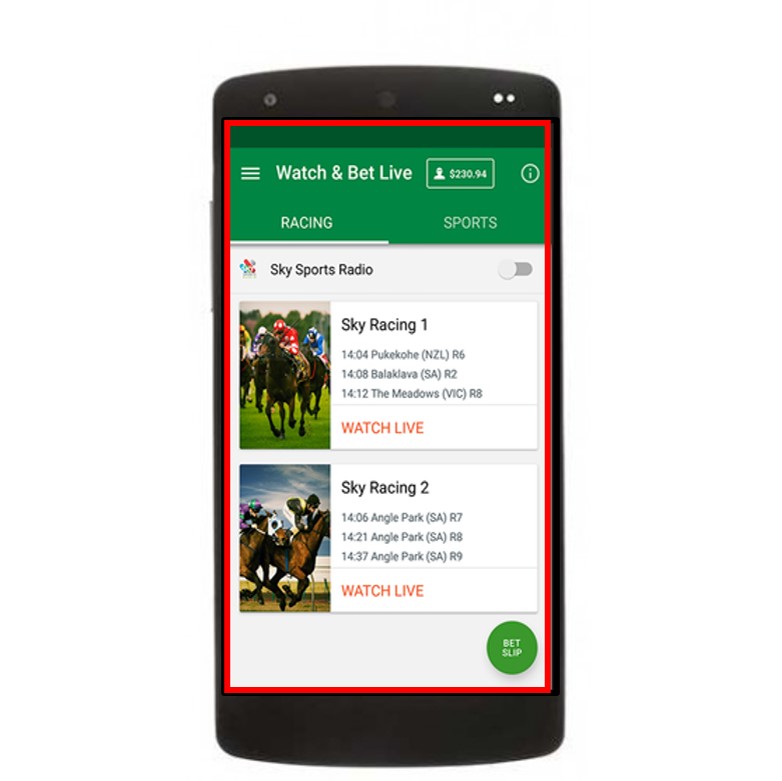How to put borders to the entire screen in the Android application