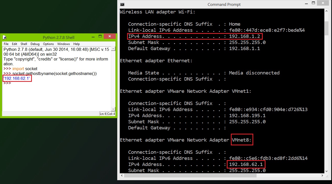 Python raw socket ip header