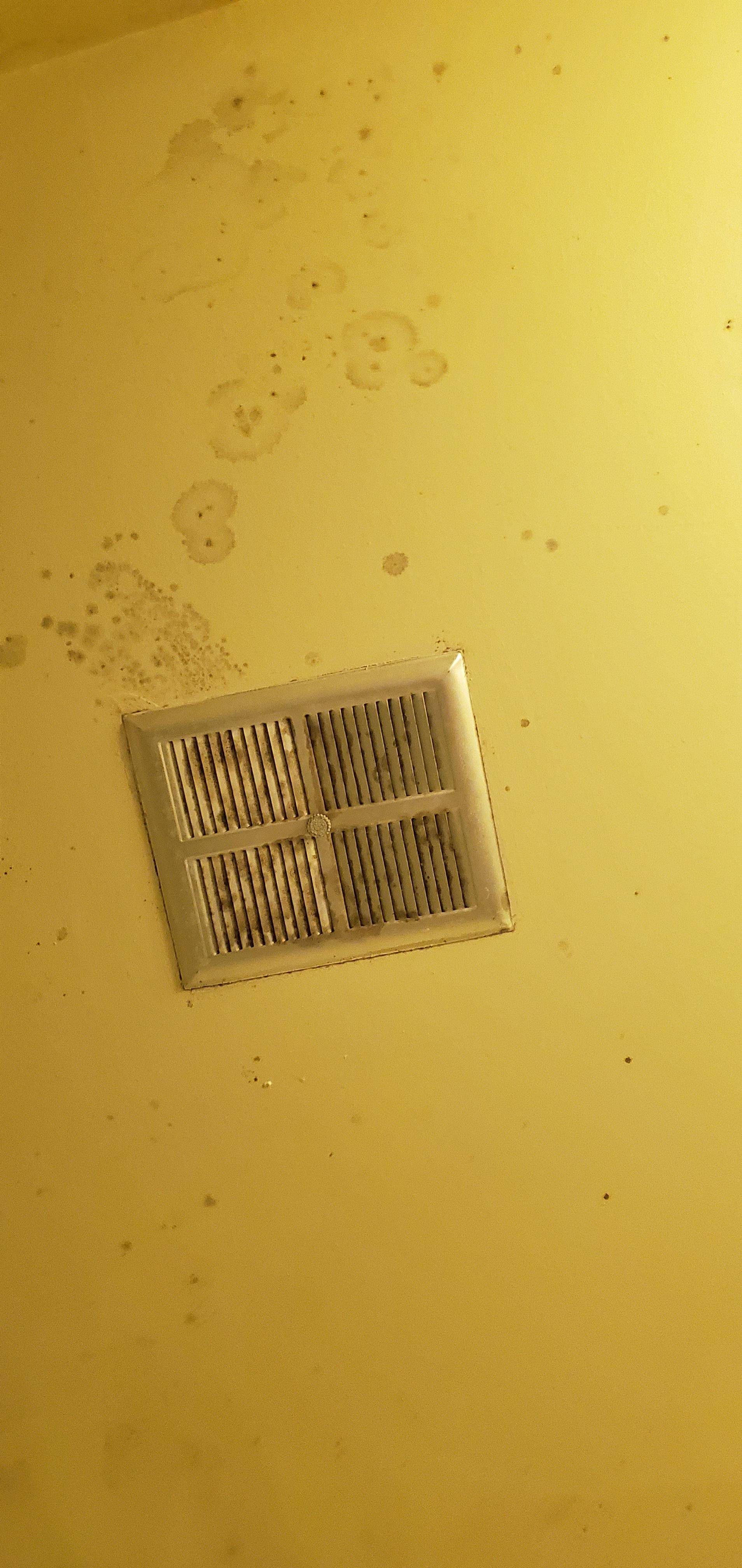 Ceiling How to clean mold off the bathroom ceiling Love & Improve Life