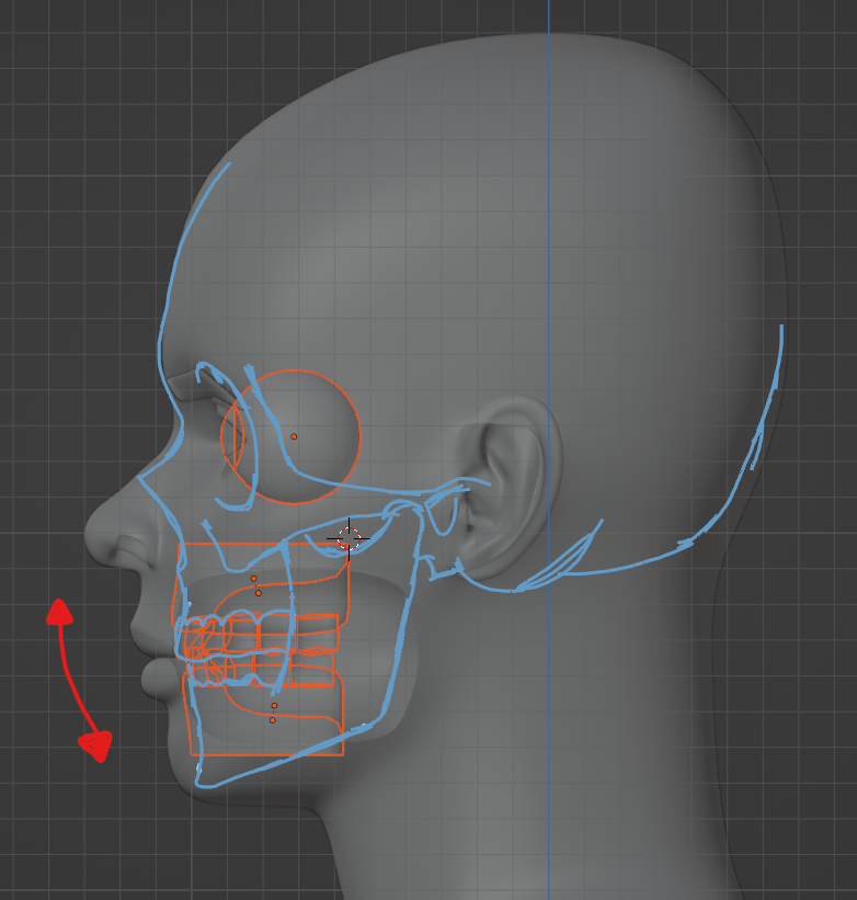 modeling How do I properly make a shape key of a male jaw? Blender