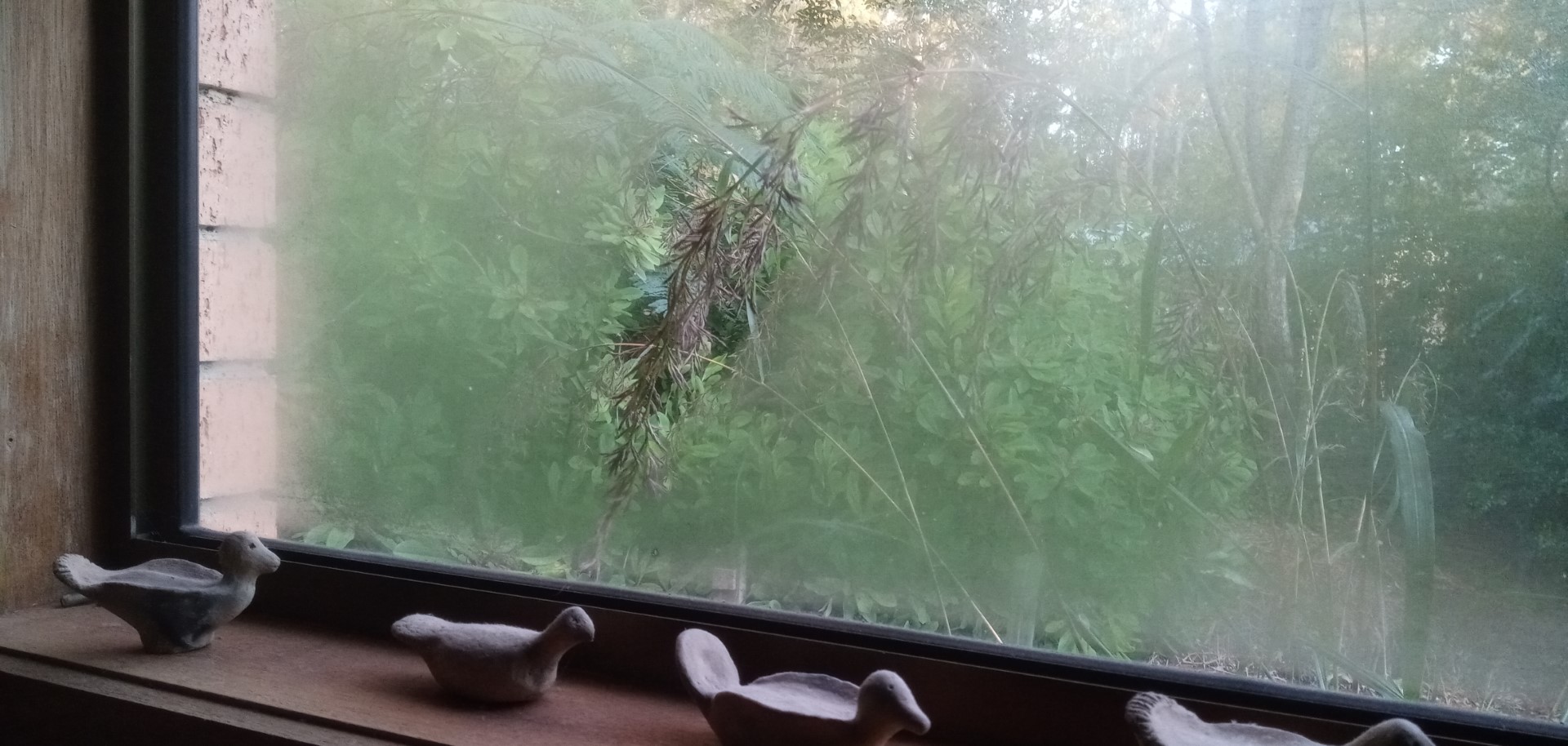 meteorology Why did a branch against a window prevent condensation