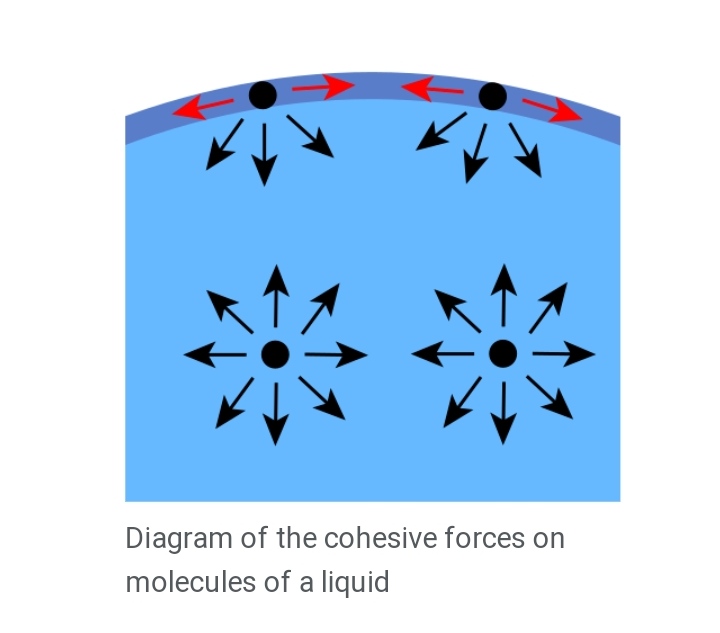 Why is surface tension represented as forces at triple line? And why
