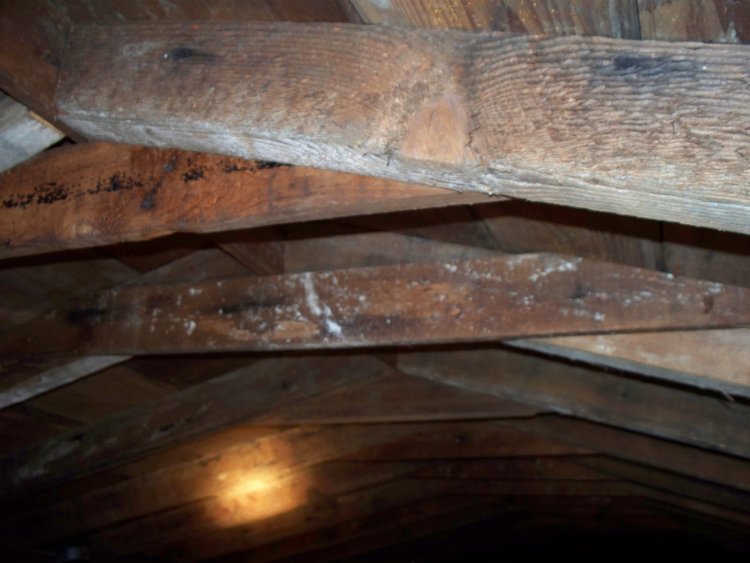 roofing Is it normal to see nails coming through the roof decking
