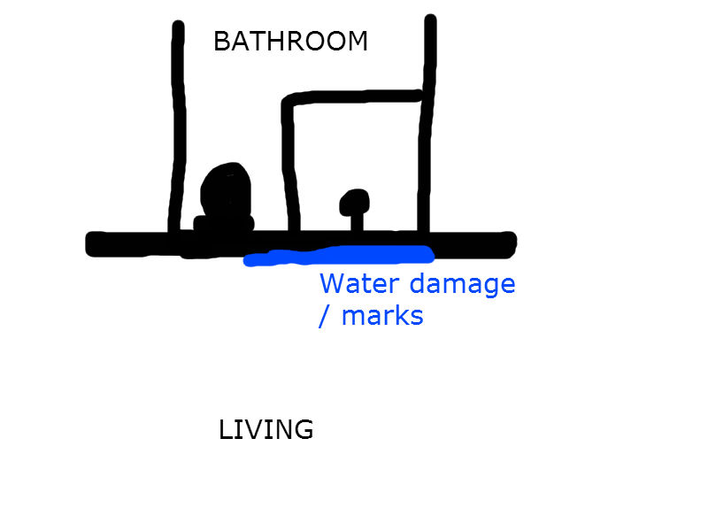 repair Should I redo my bathroom shower or try to waterproof it