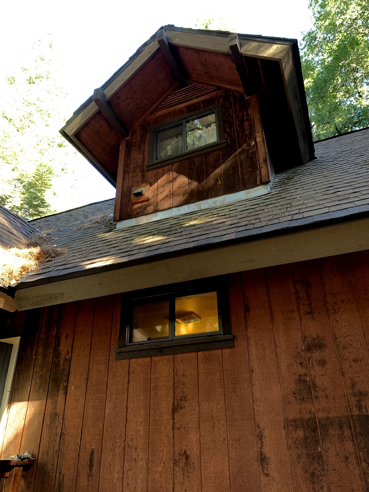 waterproofing Looking for feedback on prep & paint plan for moldy