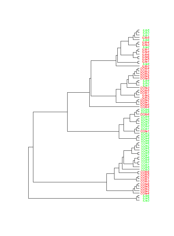 r Change leaf color in plot.dendrogram like with plot.phylo of package ape Stack Overflow