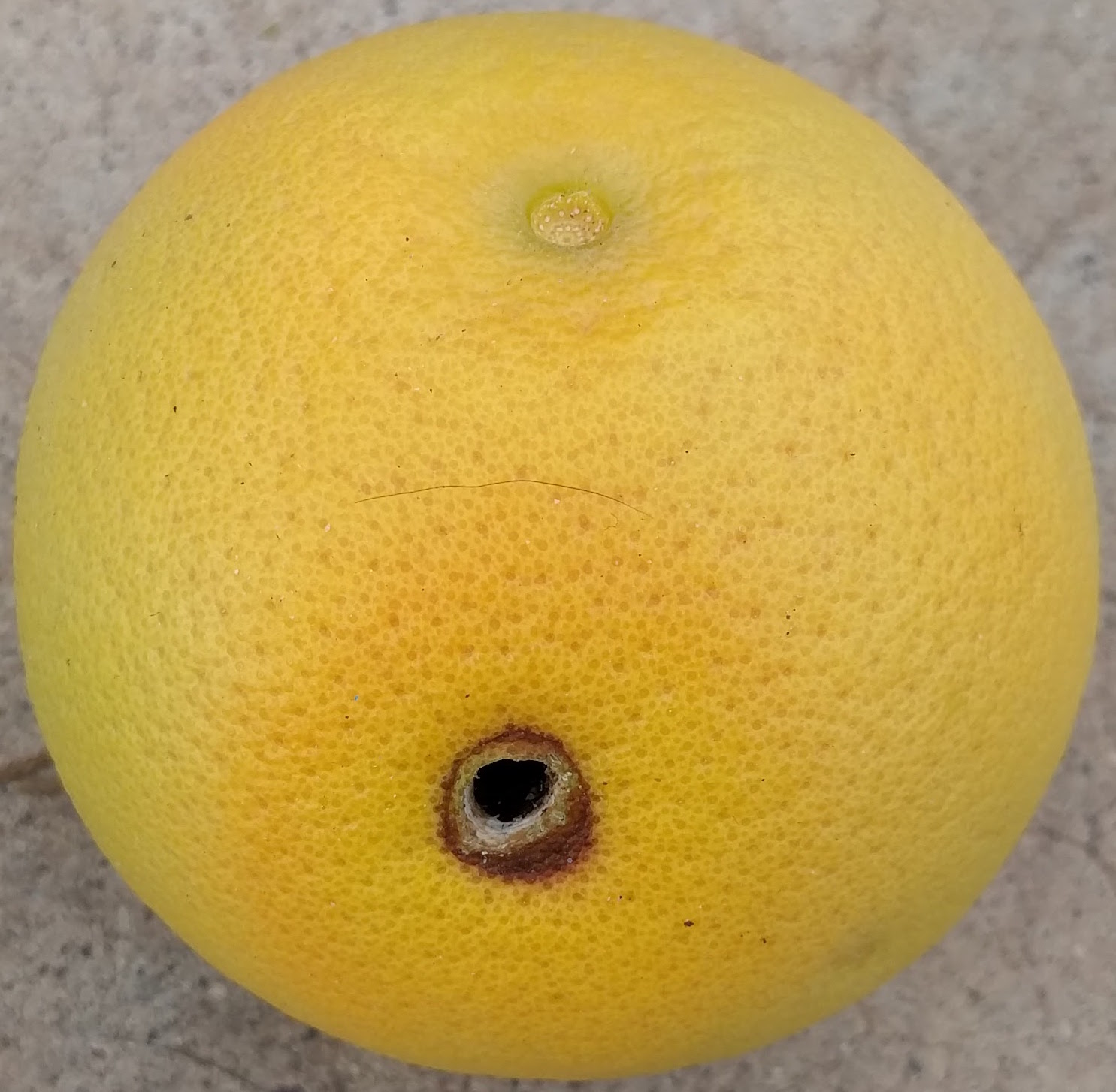 ios I want to give cornerRadius to an arc made of UIBezierPath