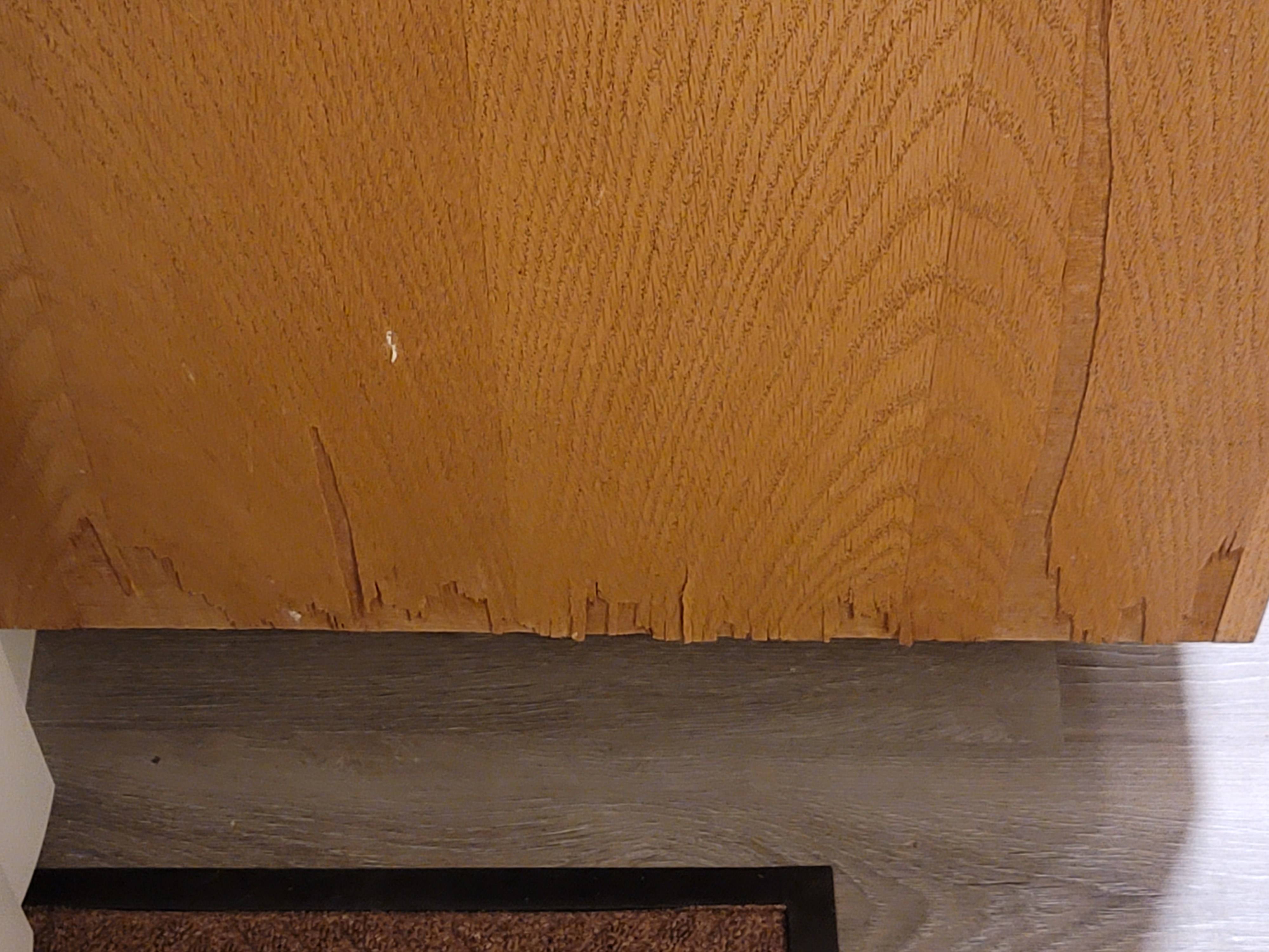 Repair Side of from Cat Scratches