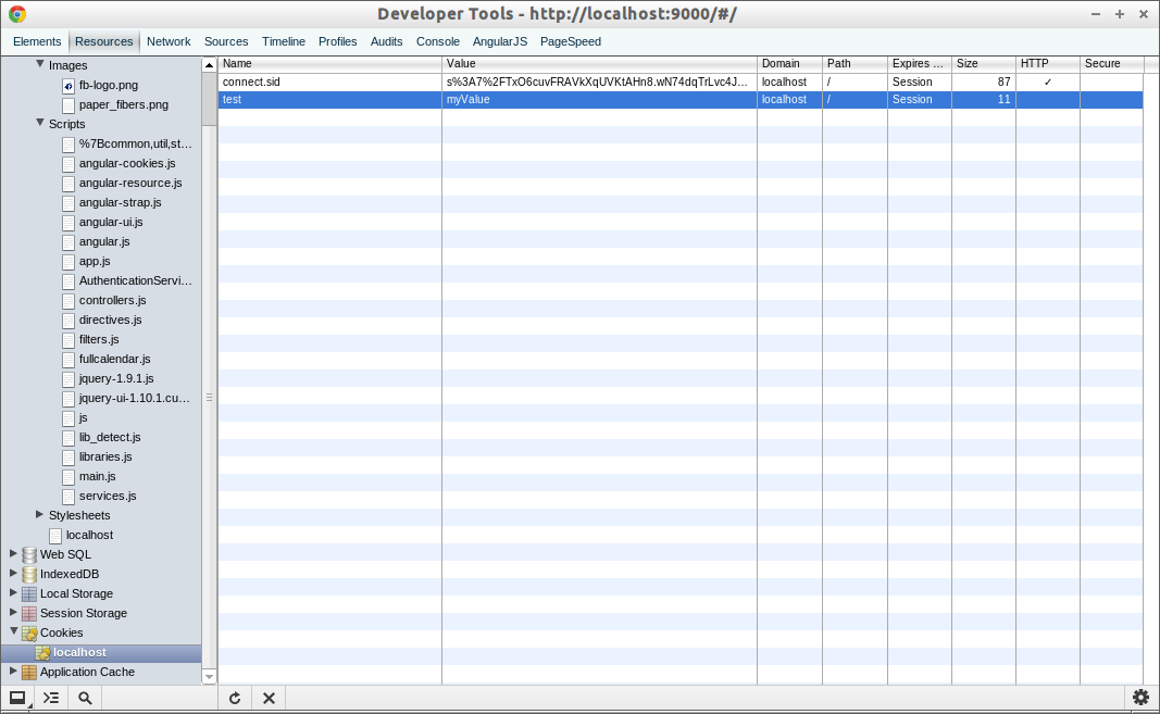 node.js Express Session + Angular can't access connect.sid cookie