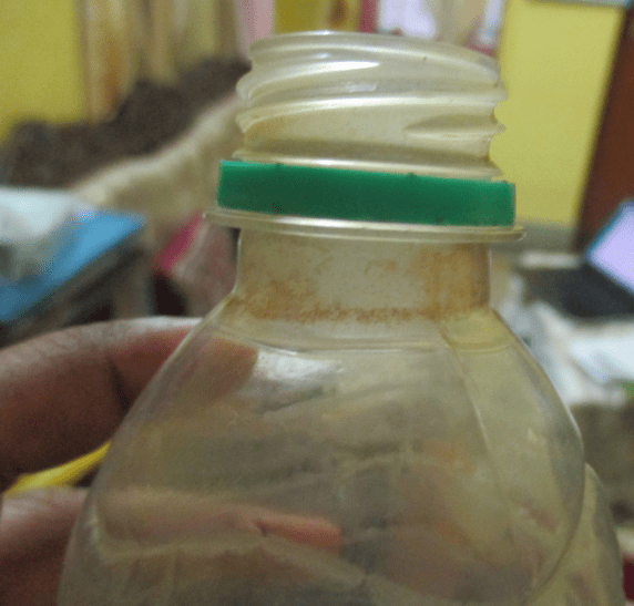 Identification of brown film inside a plastic water bottle Biology
