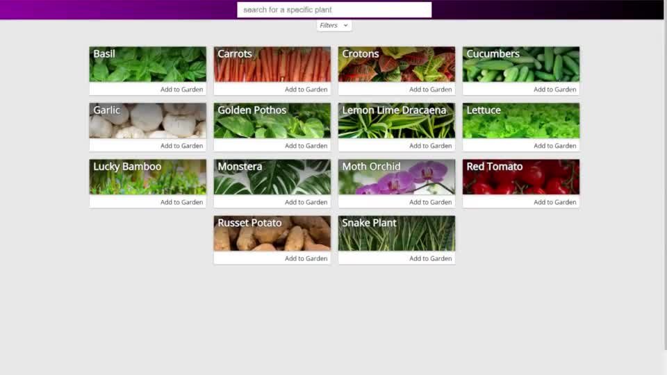 javascript VUE3 compounding filters not working as intended Stack Overflow