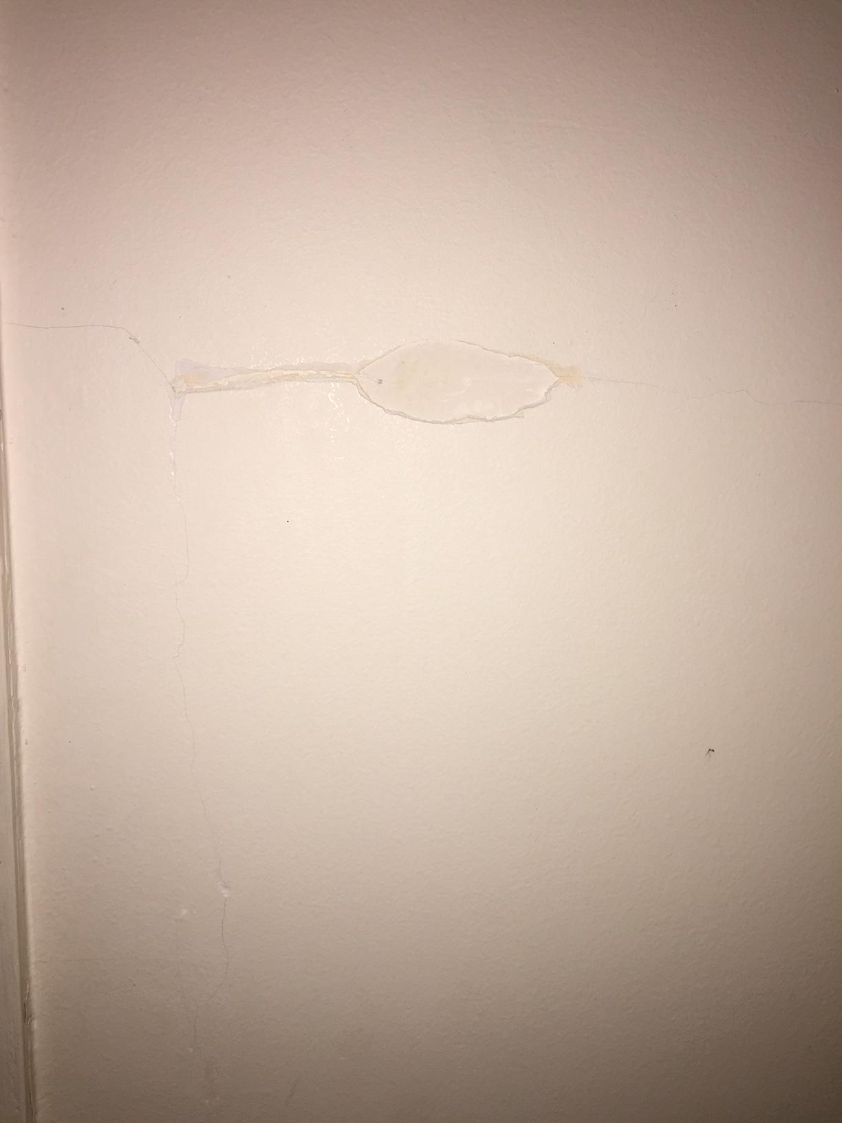 repair How can I fix these cracks in my concrete/plaster wall