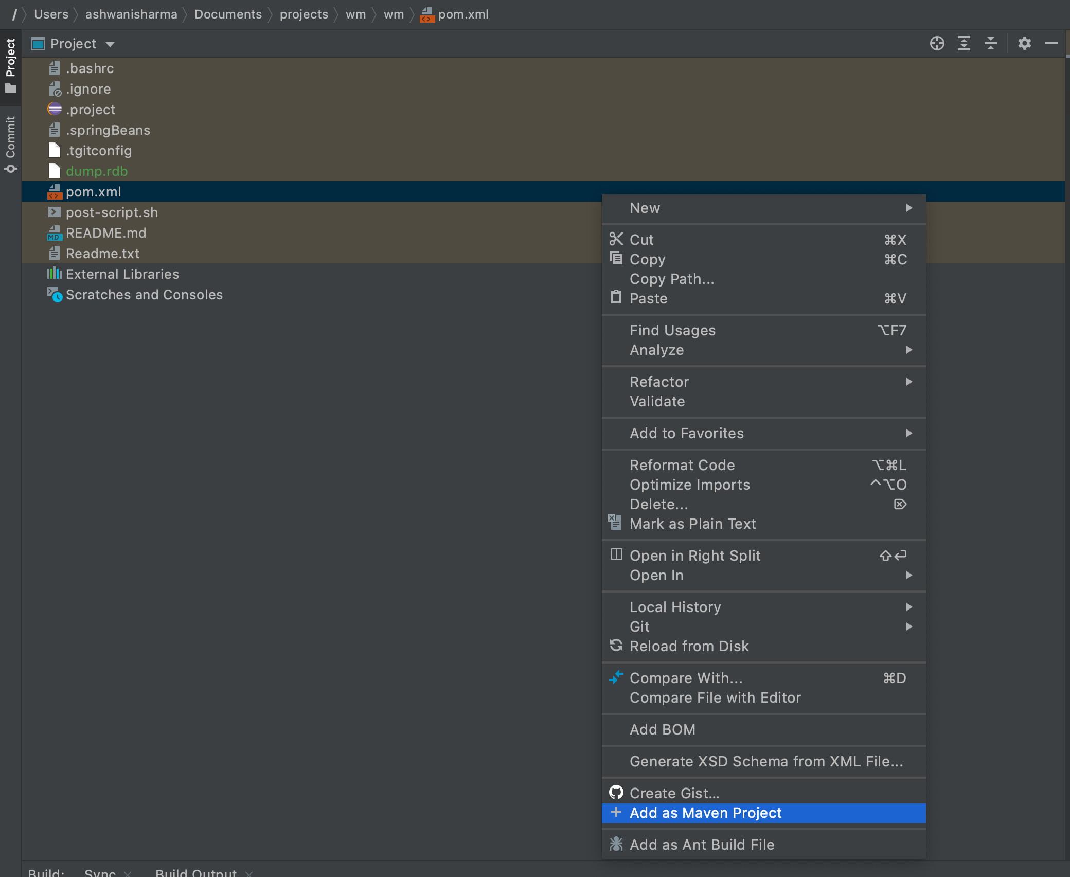 Adding maven support to existing IntelliJ module is not available
