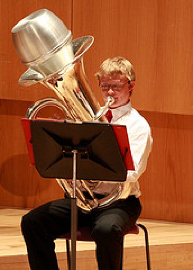 brass What's the name of the instrument that is blown into, that has