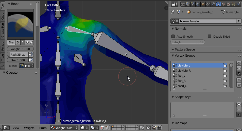 rigging How to make weight paint mode use xray selecting Blender