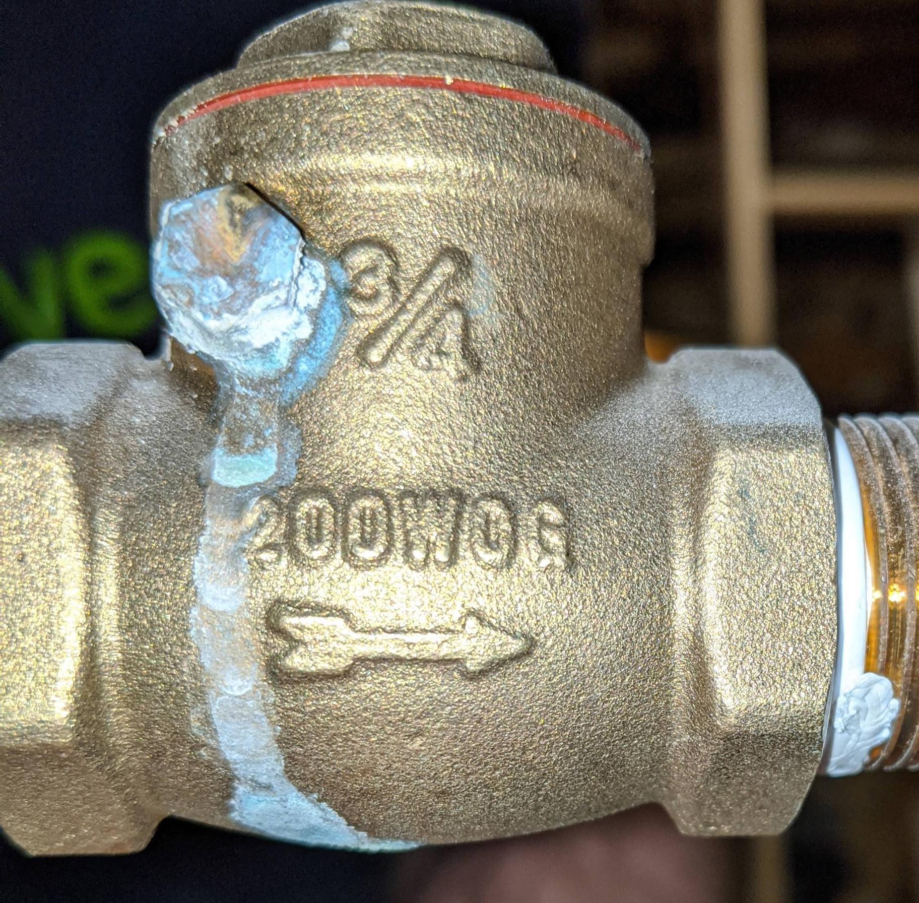 plumbing Check valve seeping around hinge nut should I replace it